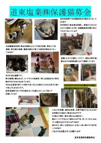 保護猫募金活動
